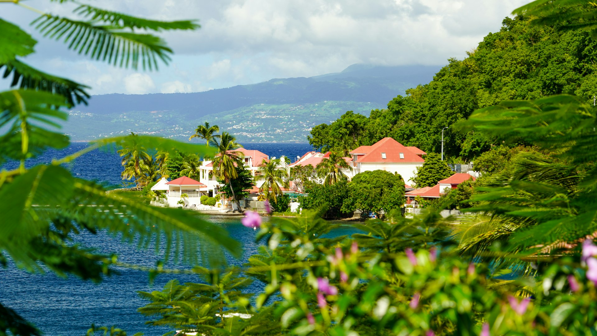 a body of water with trees and buildings along it
